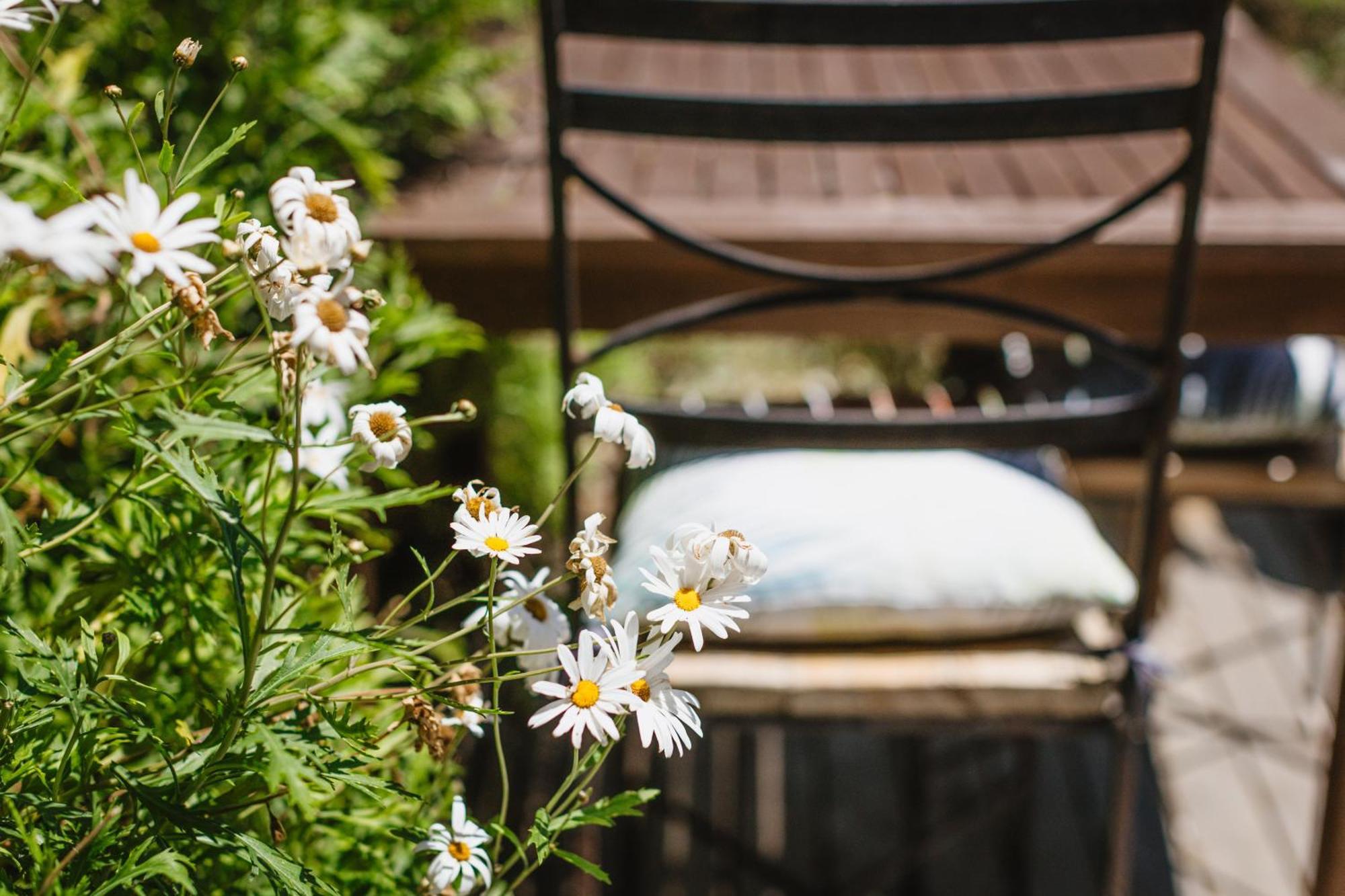 Haumoana Herb Cottage Dış mekan fotoğraf